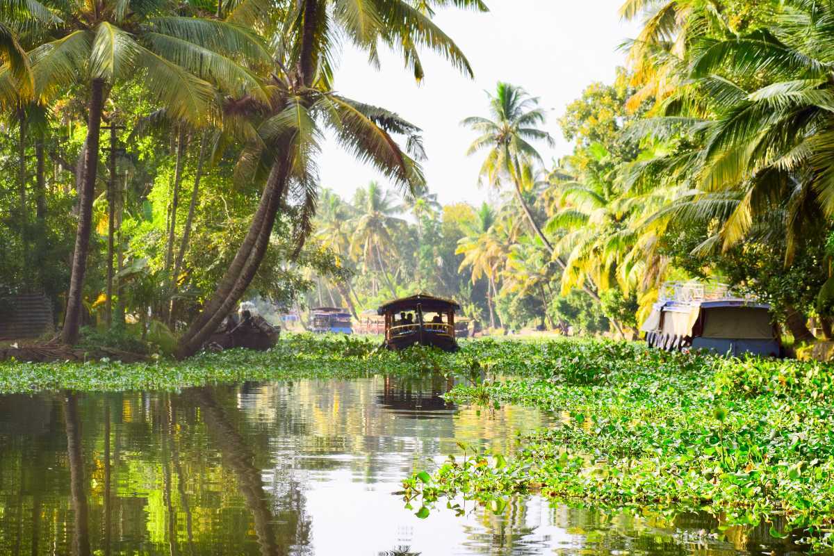Alleppey – Affordable Backwater Experience